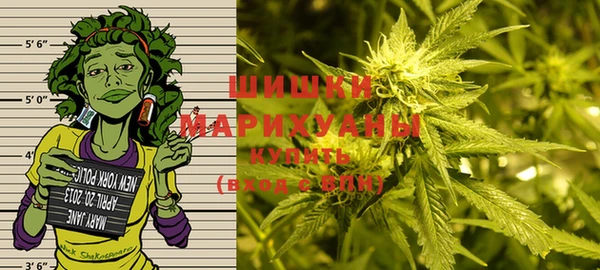гидра Белоозёрский
