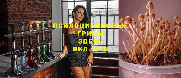 гидра Белоозёрский