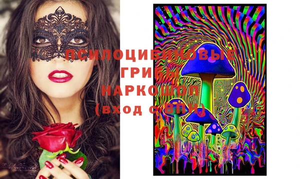 мяу мяу мука Белокуриха